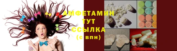 дмт Алзамай