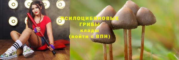 кокаин Алексин