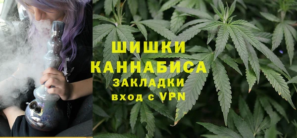 дмт Алзамай