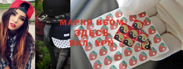 дмт Алзамай
